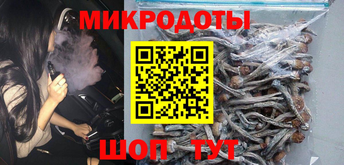 Вышний Волочёк  Псилоцибиновые грибы MAGIC MUSHROOMS  Вход с VPN 